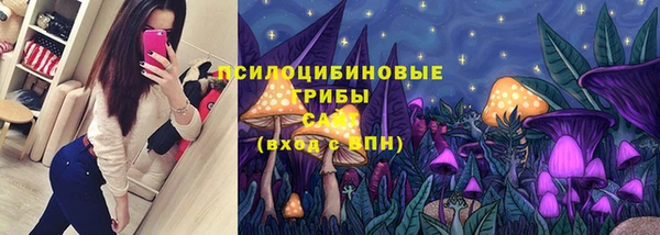 соль ск Порхов