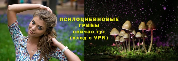 прущая мука Пересвет