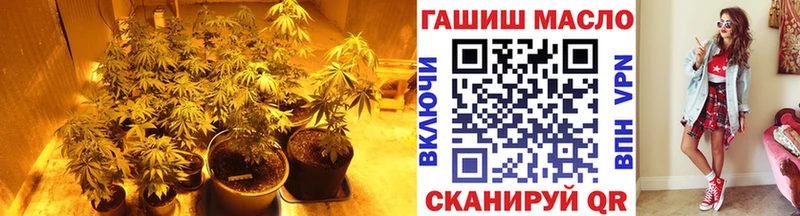 где купить наркоту  Пучеж  Дистиллят ТГК THC oil 