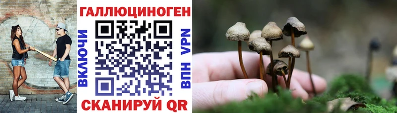 Псилоцибиновые грибы MAGIC MUSHROOMS  OMG онион  Пучеж 